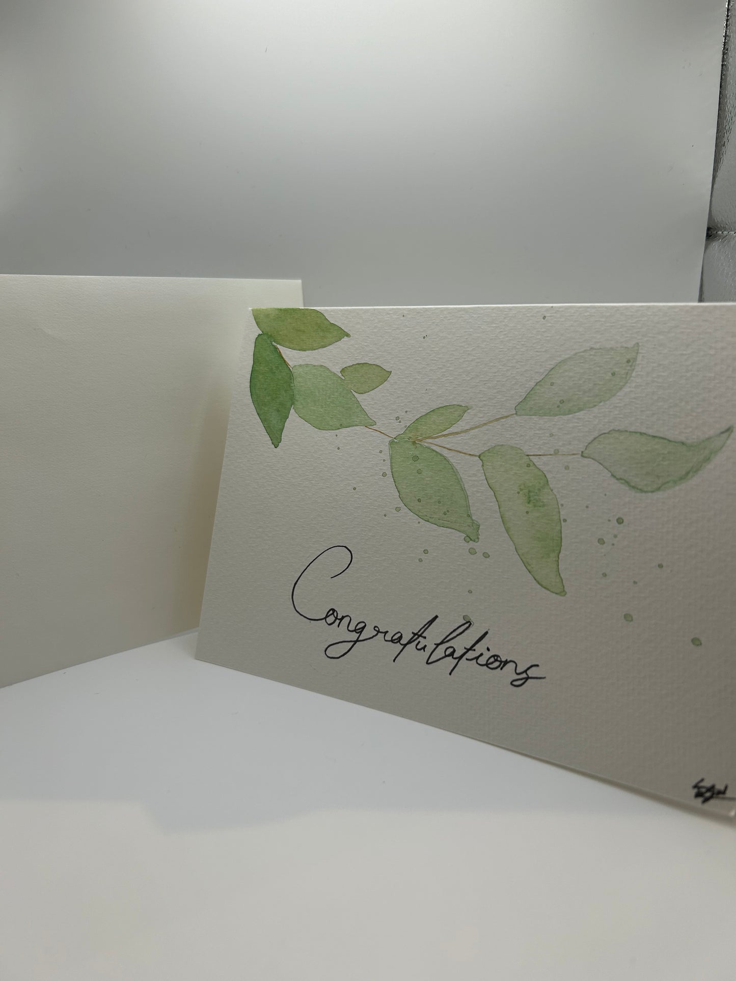 Eucalyptus Elegance